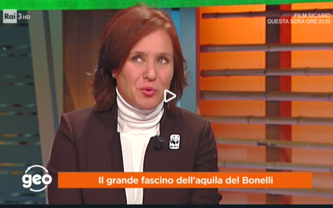 LIFE ConRaSi a Geo, su RAI 3