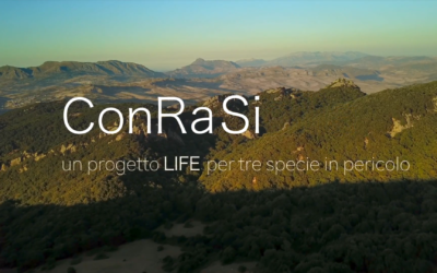 Rilasciato il documentario del progetto LIFE ConRaSi