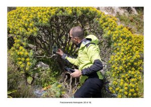 Positioning of camera traps - 03 of 18 (photo: Mathia Coco)